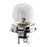 9589 Bulb P45T 12V 45/45W