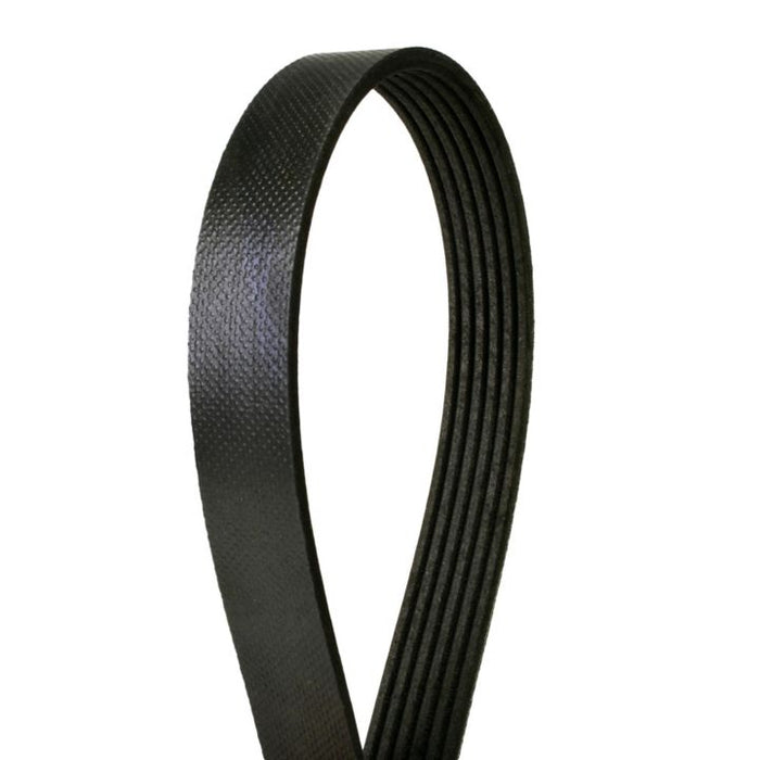 1080865 Continental Premium Belt